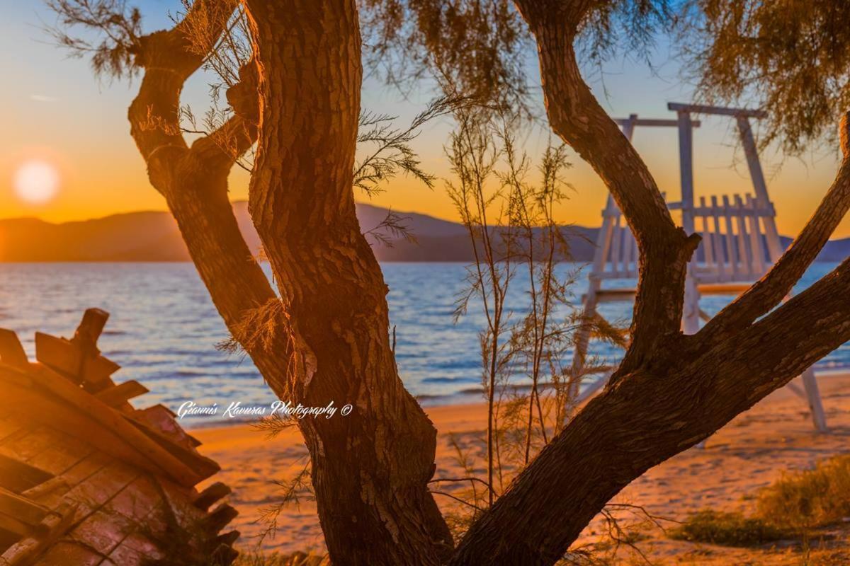 Mikri Vigla Hotel Beach Resort エクステリア 写真